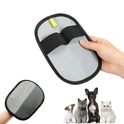 Reusable Electrostatic Pet Hair Glove – Sofa Cleaning