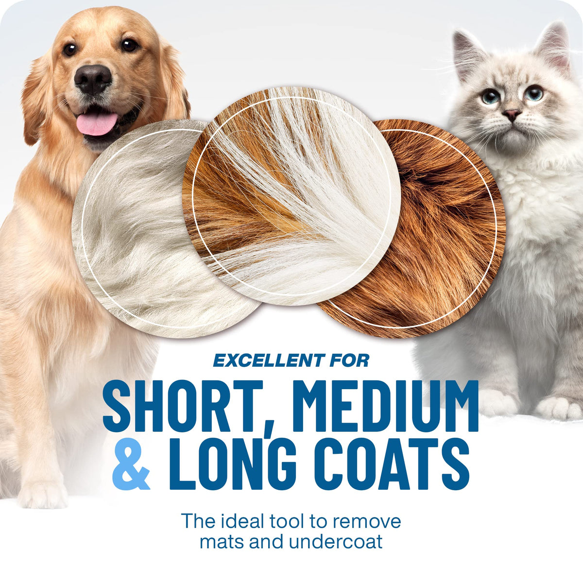 ⏰🔥 Professional Pet Shedding Comb – Effectively Removes Loose Hair – Pay on Delivery 🐾✅
