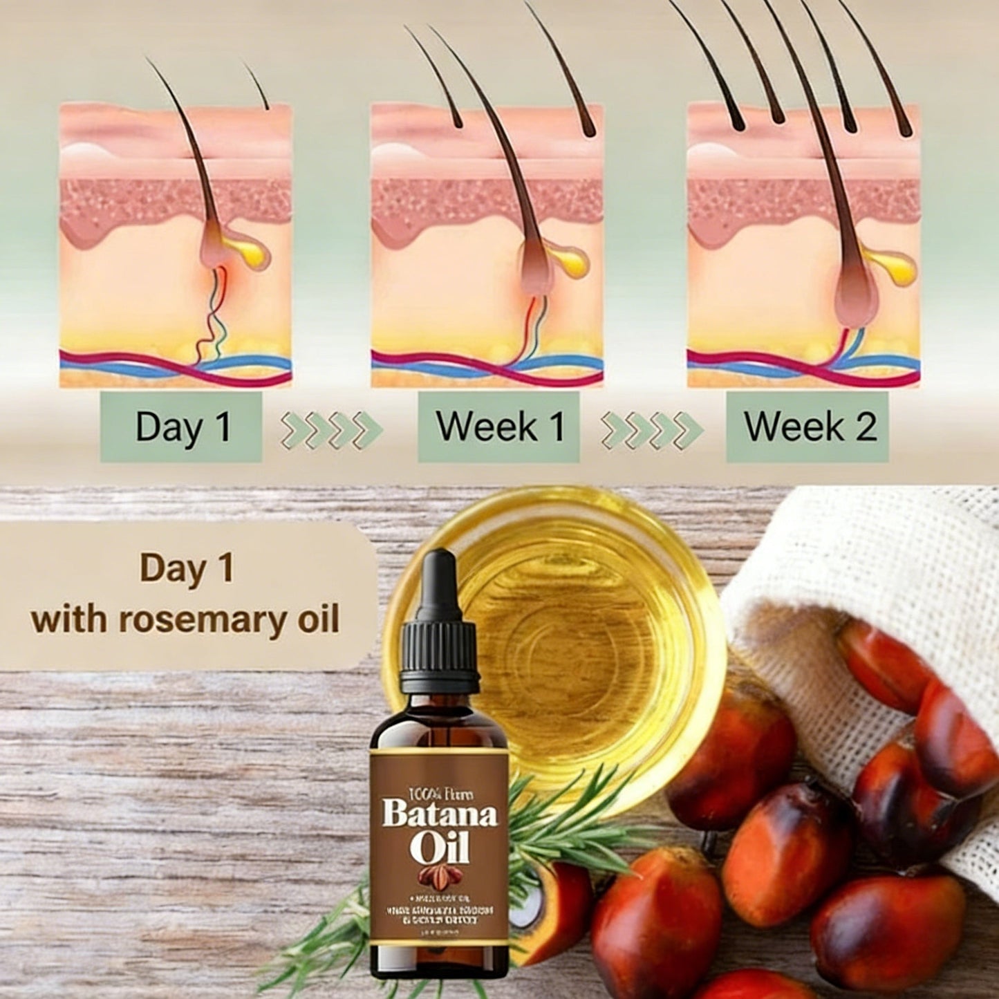 ✨HOT SALE🌿100% pure Batana oil for promoting Hair Growth, Nourishing the scalp