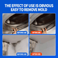 Erase Mould Instantly! Long-Lasting Prevention Spray
