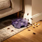 Reusable Roach Trap – One-Way Doors & Safe Capture
