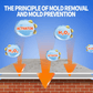 Erase Mould Instantly! Long-Lasting Prevention Spray