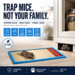 Catch Mice Instantly! Heavy-Duty Disposable Mouse Glue Traps