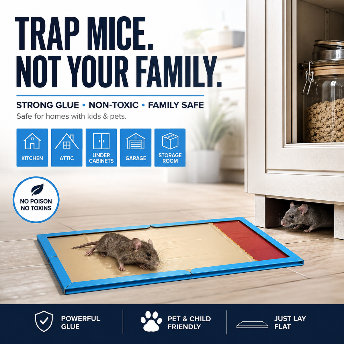Catch Mice Instantly! Heavy-Duty Disposable Mouse Glue Traps