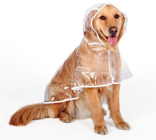 🔥Hot Sale 49% Off🔥Transparent Raincoat For Dog