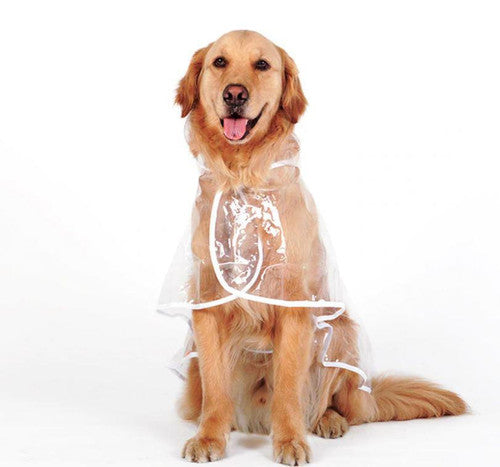 🔥Hot Sale 49% Off🔥Transparent Raincoat For Dog