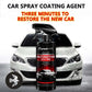 Automotive Coating Spray 500ml
