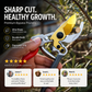 Prune Cleanly Instantly! SK5 Heavy-Duty Garden Pruning Shears
