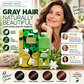 Color Hair Gently Instantly! Plant-Based Foam Hair Dye