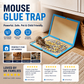 Catch Mice Instantly! Heavy-Duty Disposable Mouse Glue Traps