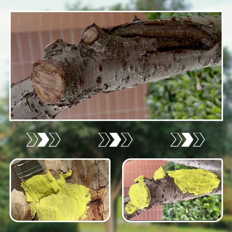 🔥Waterproof Tree Wound Sealer