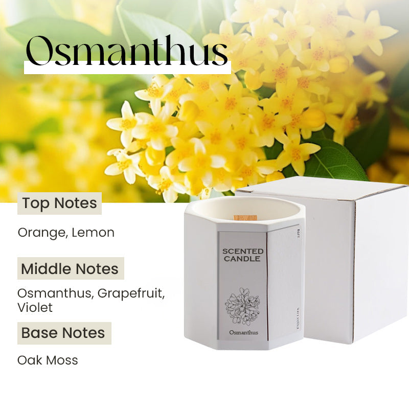 Smokeless Scented Candle with Wood Wick