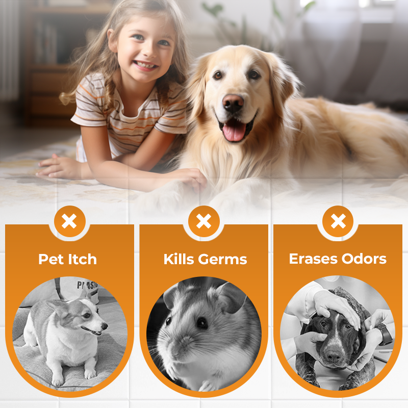 Eliminate Pet Odor & Germs Instantly! Plant-Based Deodorizing Spray