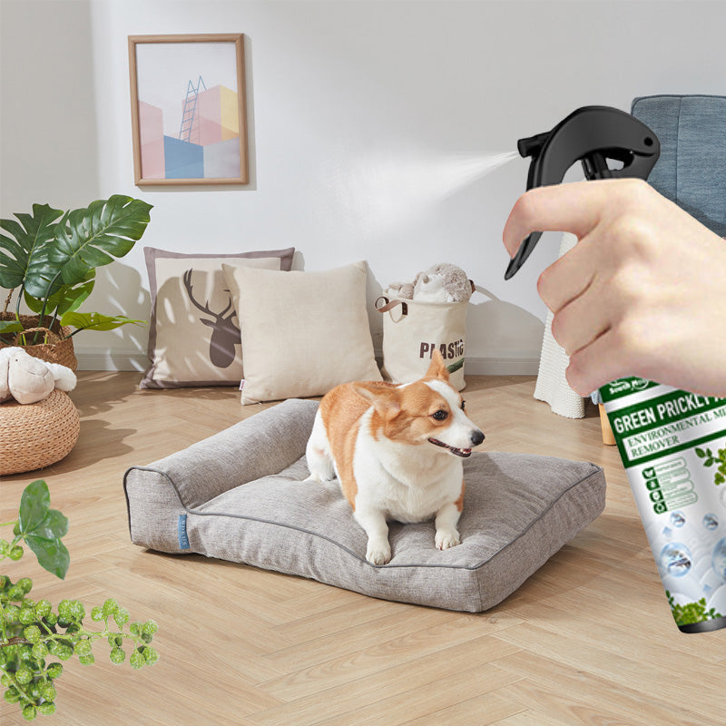 🔥Powerful Mite Remover Spray🐜  -  Gentle on Skin & Odor-Free, Ideal for Home and Garden 🌿🧴