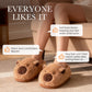 🔥Trending Now🔥|Warm Indoor Non-Slip Capybara Slippers