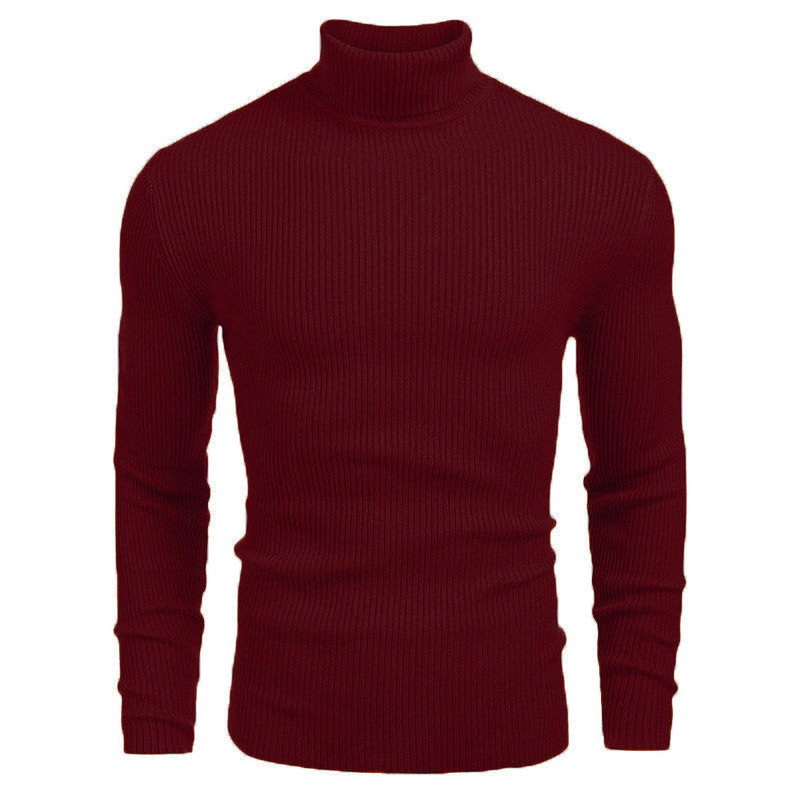 🔥Trending Now💥 |Winter Men's Knitted Turtleneck Slim Sweater