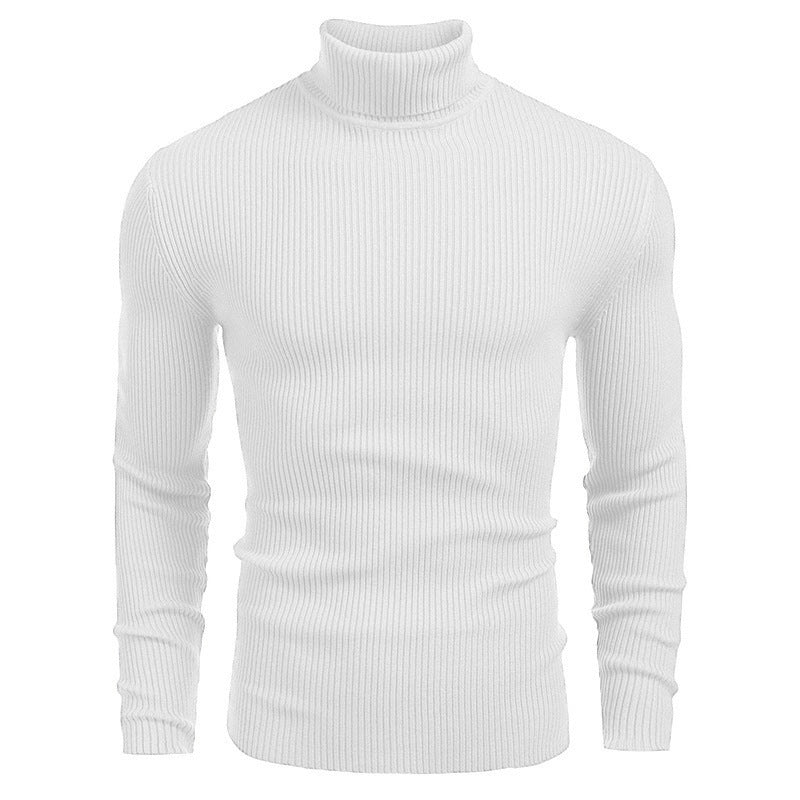 🔥Trending Now💥 |Winter Men's Knitted Turtleneck Slim Sweater