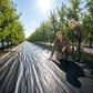 🌿 50% OFF NOW! ⛏️ Weed Barrier Fabric – No Weeds, No Hassle
