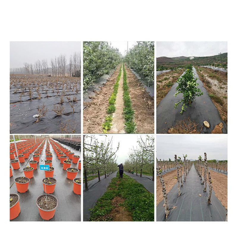 🌿 50% OFF NOW! ⛏️ Weed Barrier Fabric – No Weeds, No Hassle