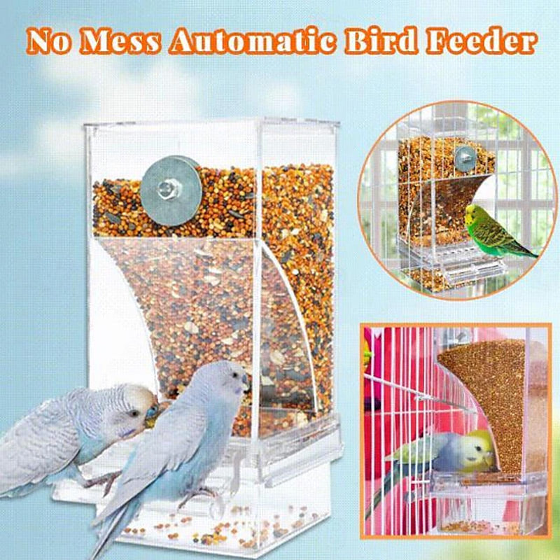 Keep Cages Clean Instantly! No-Mess Automatic Bird Feeder