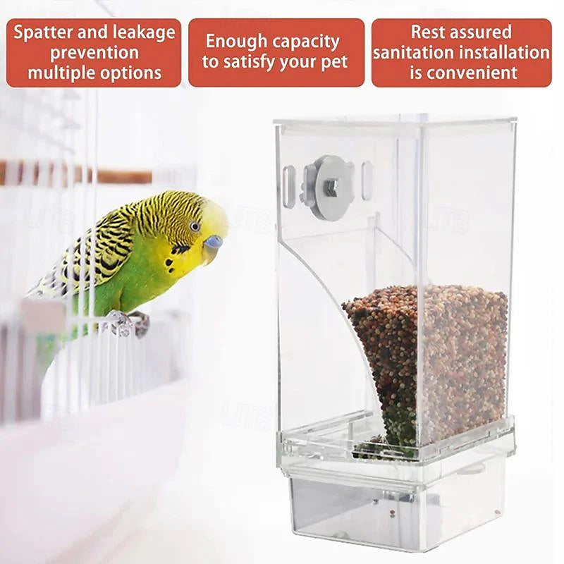 Keep Cages Clean Instantly! No-Mess Automatic Bird Feeder