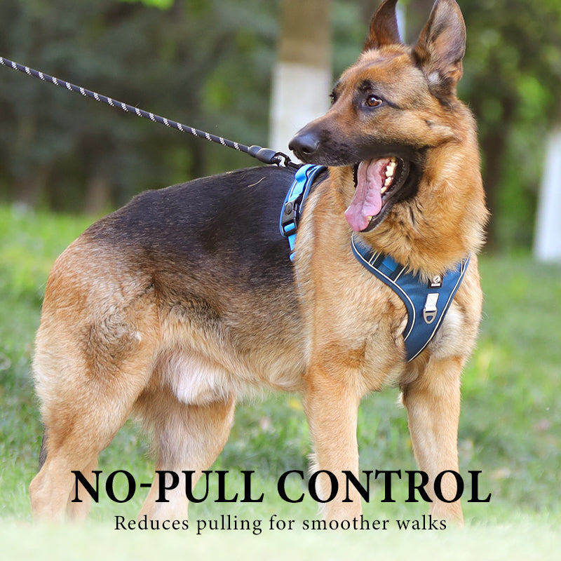Walk Your Dog Instantly! Adjustable Front-Clip Dog Harness