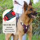 Walk Your Dog Instantly! Adjustable Front-Clip Dog Harness