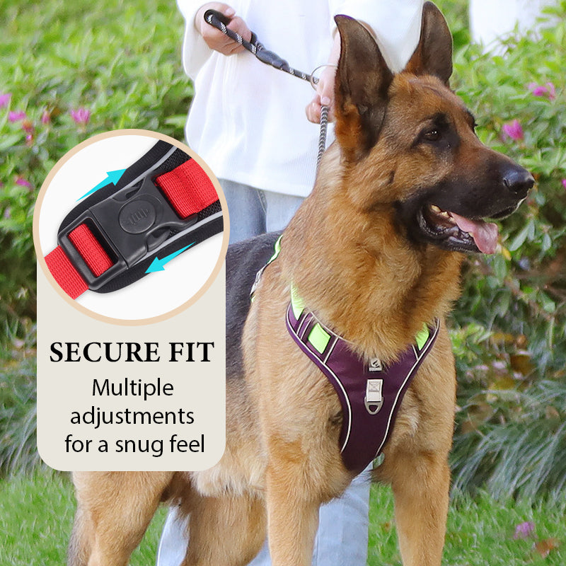 Walk Your Dog Instantly! Adjustable Front-Clip Dog Harness