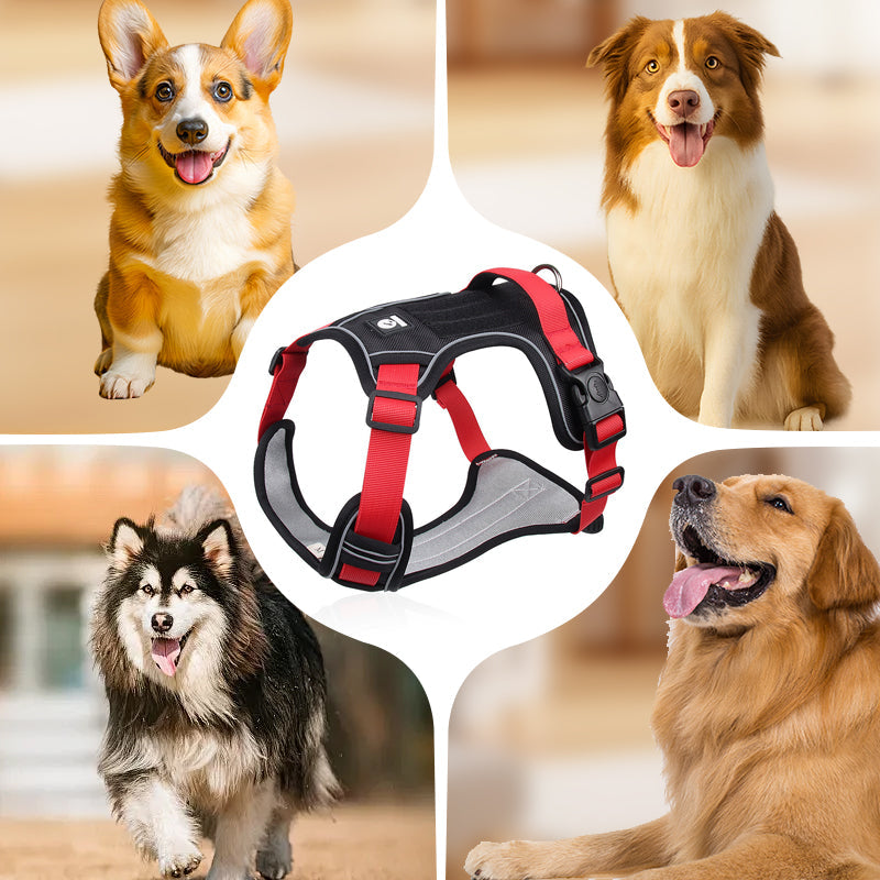 Walk Your Dog Instantly! Adjustable Front-Clip Dog Harness