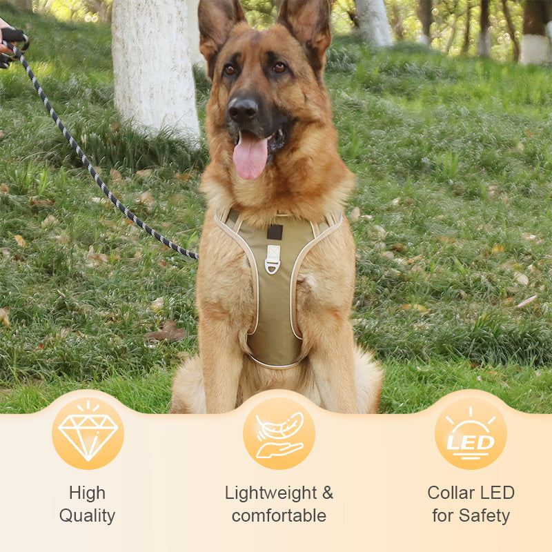 Walk Your Dog Instantly! Adjustable Front-Clip Dog Harness