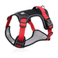 Walk Your Dog Instantly! Adjustable Front-Clip Dog Harness