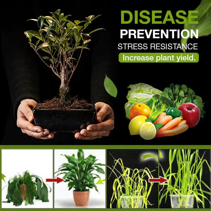 Loosen Soil Instantly! Fulvic Acid Soil Activator & Root Booster