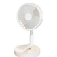 Collapsible Telescopic Fan – 4 Speeds, Ultra-Quiet & USB Rechargeable