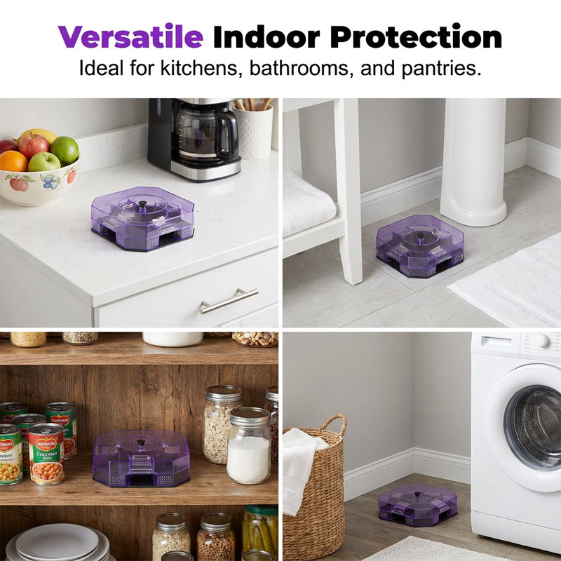 Reusable Roach Trap – One-Way Doors & Safe Capture
