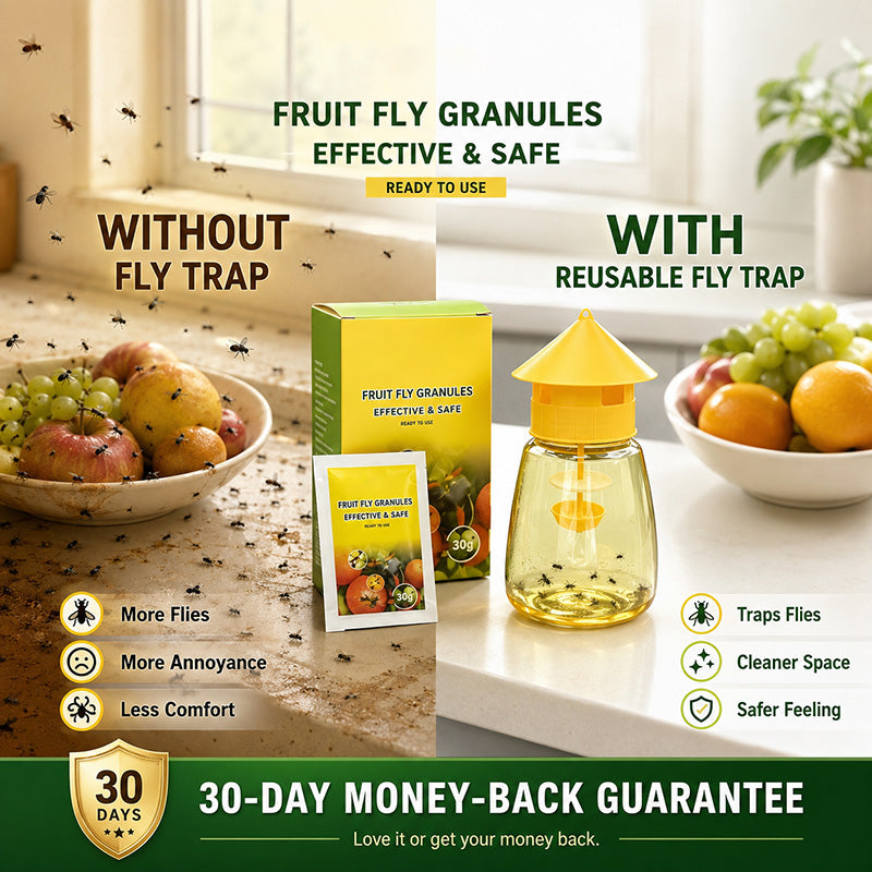 Outdoor Fly Trap – 4-Hole Capture & No-Fuss Setup