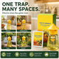 Outdoor Fly Trap – 4-Hole Capture & No-Fuss Setup