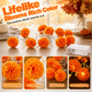 Marigold String Lights – Festive Glow & Charming Autumn Decor