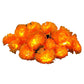Marigold String Lights – Festive Glow & Charming Autumn Decor