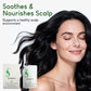 Rosemary Amino Acid Shampoo – Nourishing & Strengthening Formula