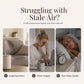 🔥Limited Time 50% Off！12-Scent Essential Oil Set – Water-Soluble & Diffuser-Ready Design