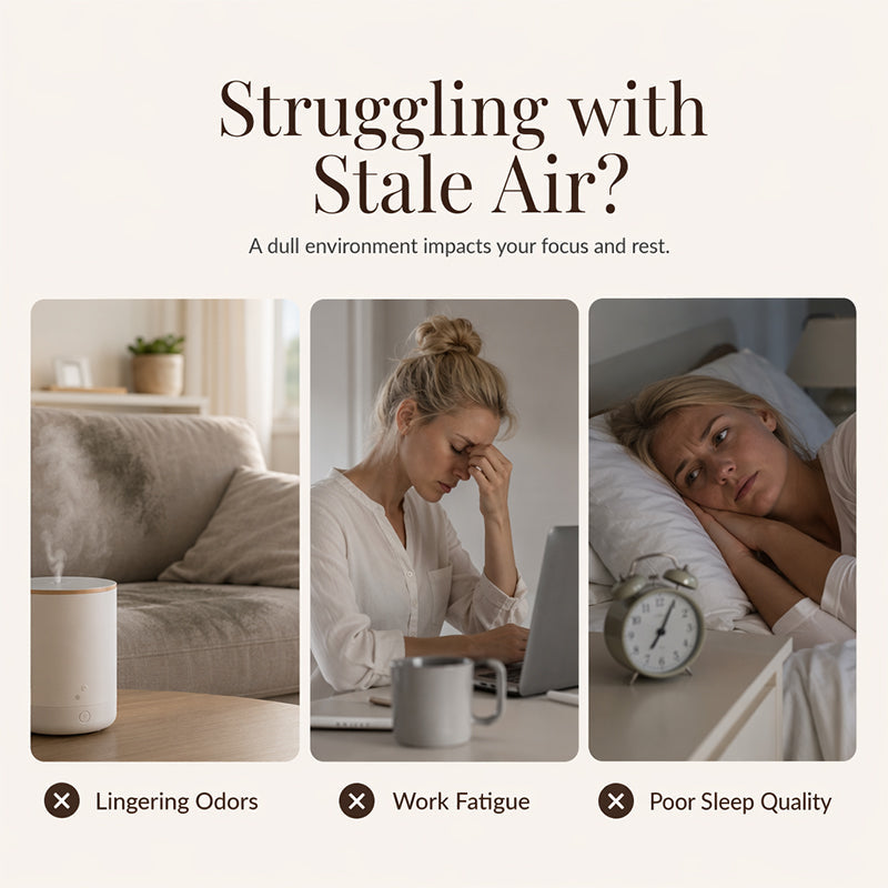 🔥Limited Time 50% Off！12-Scent Essential Oil Set – Water-Soluble & Diffuser-Ready Design