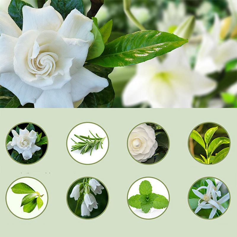 🥳2026 HOT SALE🥳Freshen Any Room Instantly! No-Cord Timed Aroma Diffuser
