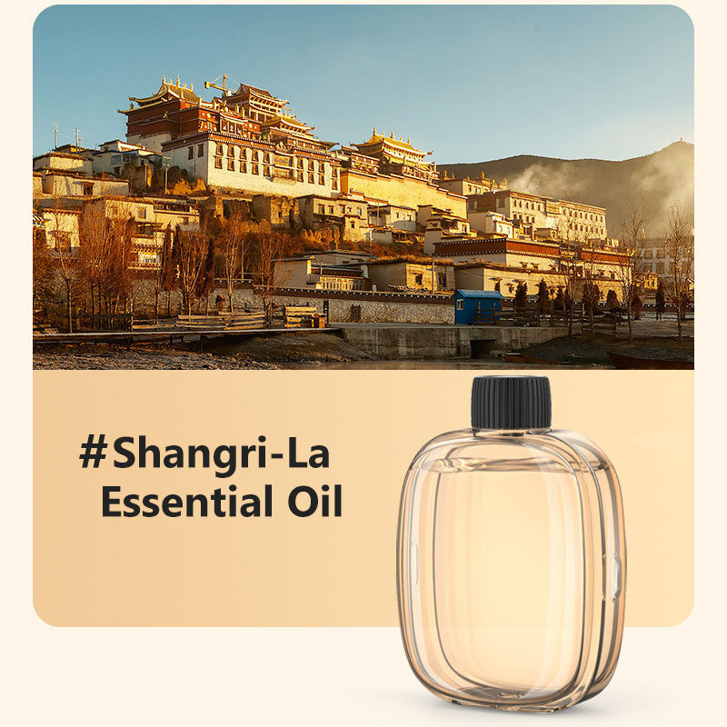 🥳2026 HOT SALE🥳Freshen Any Room Instantly! No-Cord Timed Aroma Diffuser