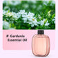 🥳2026 HOT SALE🥳Freshen Any Room Instantly! No-Cord Timed Aroma Diffuser