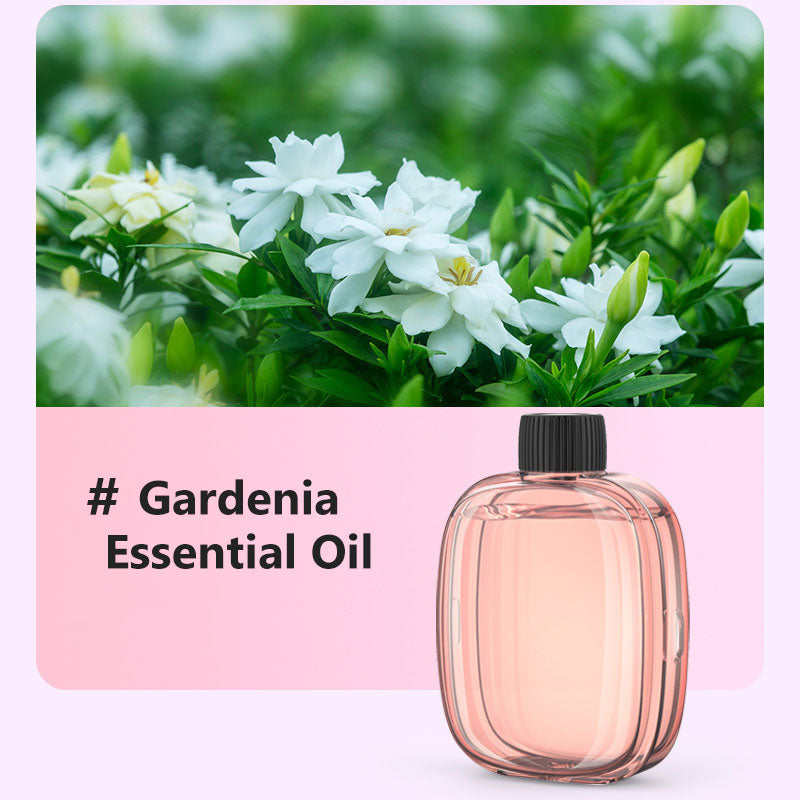 🥳2026 HOT SALE🥳Freshen Any Room Instantly! No-Cord Timed Aroma Diffuser