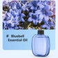 🥳2026 HOT SALE🥳Freshen Any Room Instantly! No-Cord Timed Aroma Diffuser