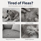 Remove Fleas Instantly! Ultra-Dense Stainless Steel Pet Comb