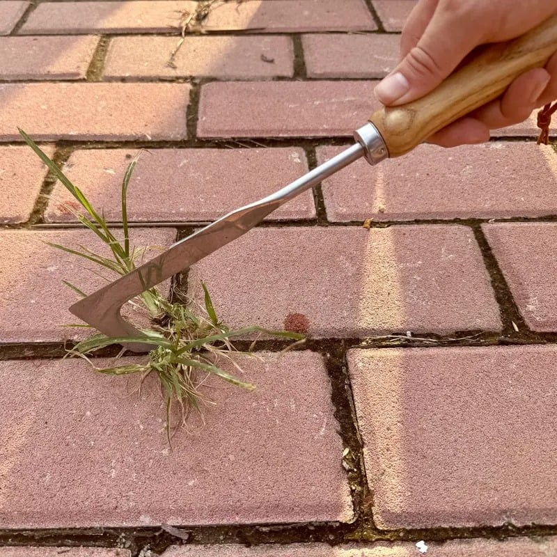 📹 50% OFF NOW! 🛡️2026 New Crack Weeder Tool Crevice Cleaning Tool