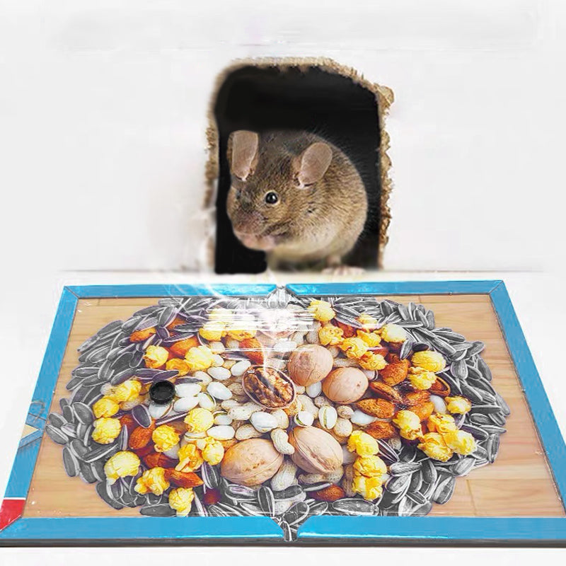 Catch Mice Instantly! Heavy-Duty Disposable Mouse Glue Traps