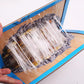 Catch Mice Instantly! Heavy-Duty Disposable Mouse Glue Traps